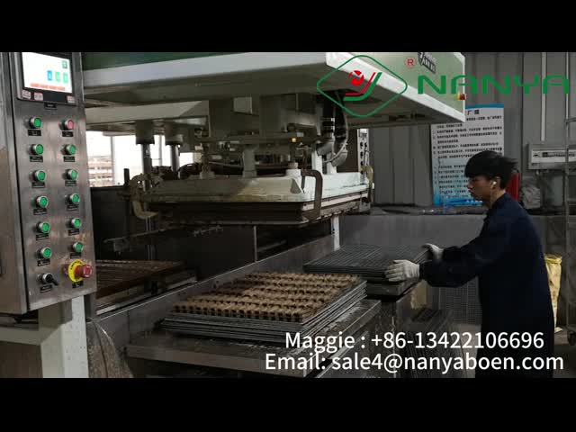 High Speed Paper Pulp Moulding Machine For Recyclable Industrial Package