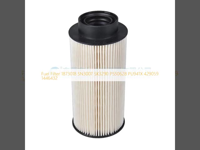 Filtre à carburant 1873018 SN3007 SK3290 P550628 PU941X 429059 1446432 vidéo
