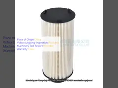 Filtre à carburant 1873018 SN3007 SK3290 P550628 PU941X 429059 1446432 video