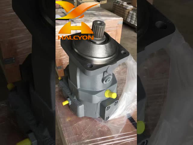 A7VO80 A7VO160 A7VO55DRS/63L-NZB01 A7VO80LRH1/63RNZB01 A7VO160LRH1/LRDS/DS 水力ポンプ ピストンポンプ