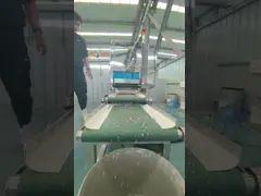 Inspection Food X Ray Inspection Systems With High Accuracy Conveyor Belt Industrial