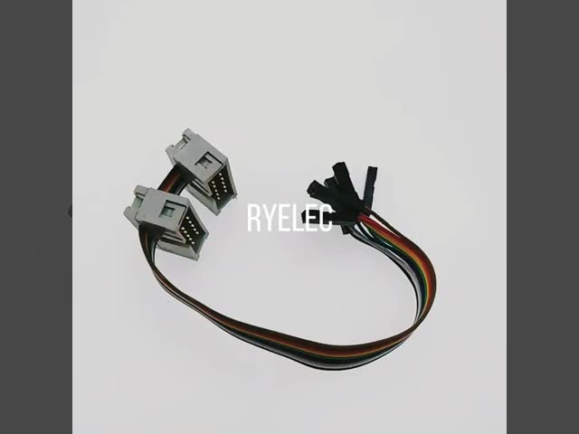 6P To 8P Server Power Conversion Board Graphics Module Line Cable 50CM/18AWG/16AWG Length 70cm/Customized Connector Molex