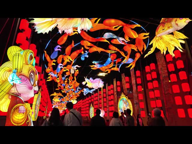 Blue Lotus Landscape Lantern - Customized Outdoor Night Tour Light Show