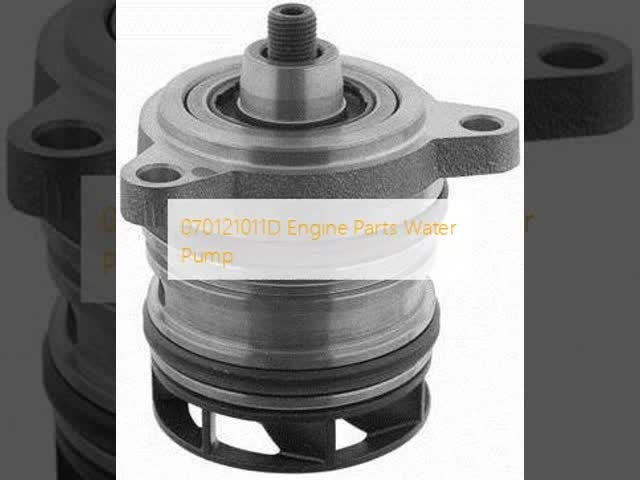 070121011D Engine Parts Water Pump