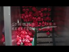 China CCD Camera Automated Inspection System Data Statistics Provided High Accuracy supplier