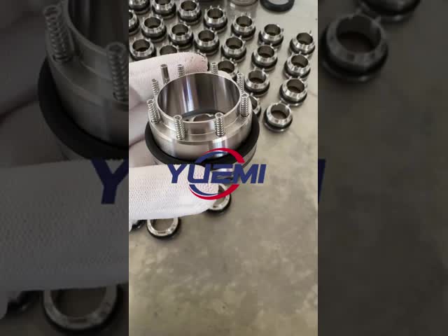 AES MSS インオックスパポンプ & プロラックポンプ 水ポンプシール 炭素 / シック / ビトン