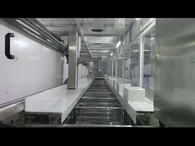 11 Tanks Semiconductor Cleaning Machine Silicon Wafer Cleaning Machine 40KHZ