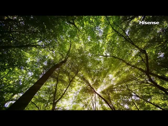 Hisense 12000 BTU Wall Mounted Inverter Air Conditioner