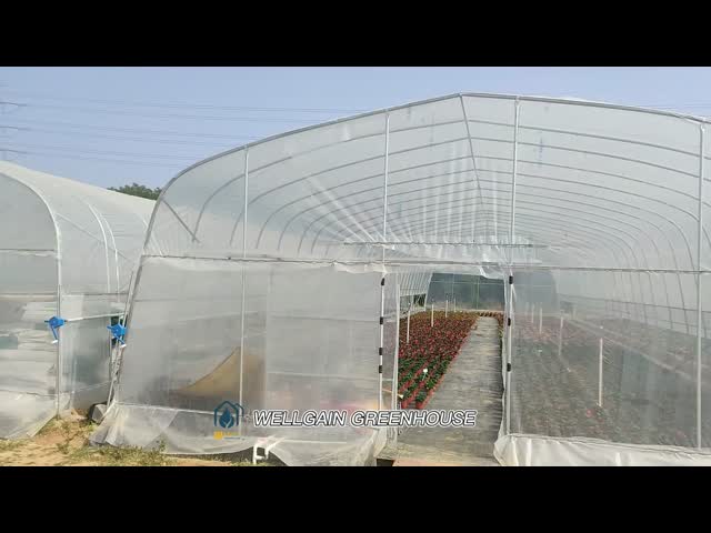 農業用 プラスチックポリトンネル温室 野菜 果物 花