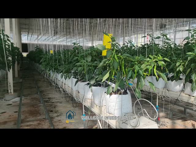 Advanced Steel Gutter For Hydroponic And Substrate Steel Planting Systems