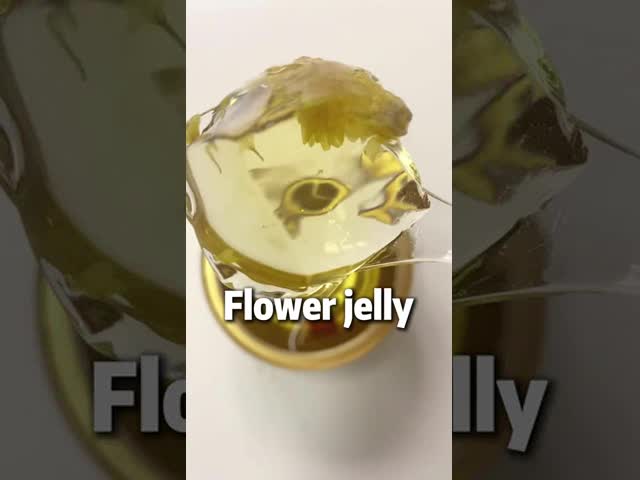 Dendrobium Chrysanthemum Jelly Dessert 168g Low Sugar Plant Based Herbal Snack Ready to Eat Convenient Functional Food for Eye Health Daily Hydration and OEM Clean Label Export