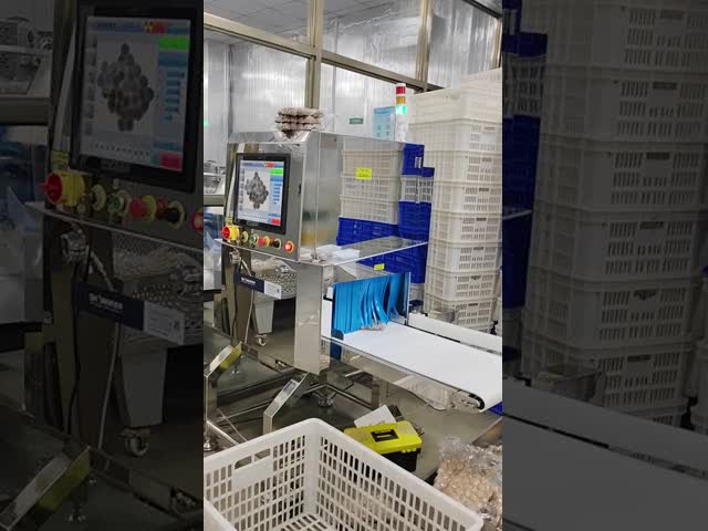 Wet Dry Food Products X Ray Inspection Detector Machine For Industry Canned Bottled Products Package