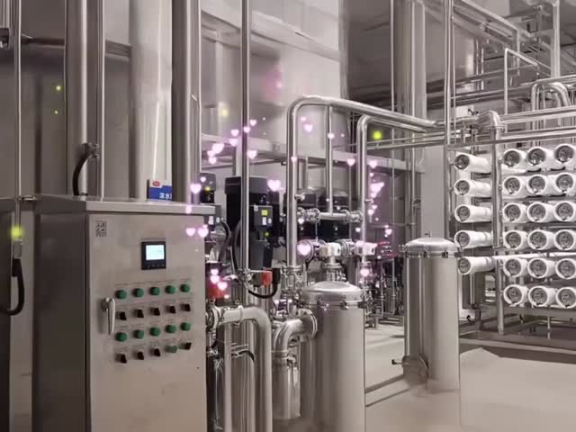 1T-200T/Hour Flow Rate Pure Water Treatment Machine with Conductivity < 10μs/cm and 2-Year Warranty