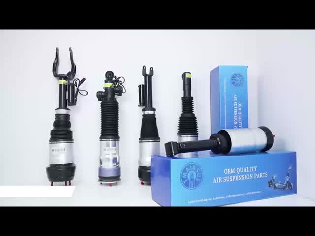 Affordable and Practical Benz W205 C-class Rear Left or Right Air Spring 2053200125 2053200225