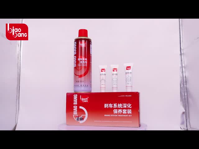 Anti Corrosion Brake System Cleaner 10ml/18ml/317ml Extended Lifespan