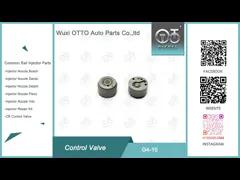 G4-10 Denso Contro Valve pour le groupe Denso S560-13h50A video