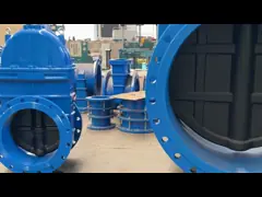 PN16 Rising Stem Soft Sealing Gate Valves ANSI 150LB 316 Stainless Steel Cast Iron