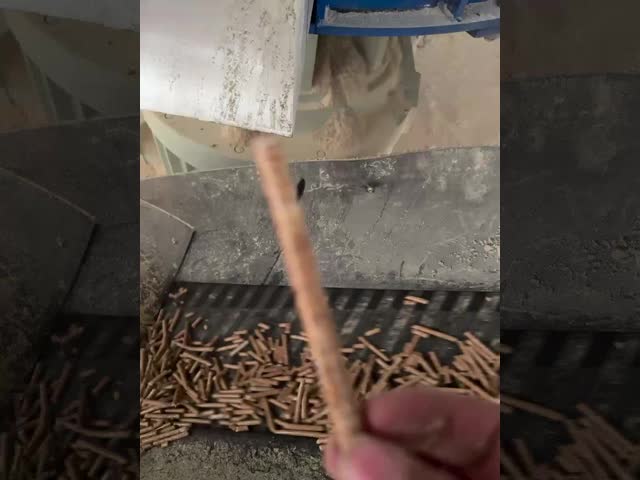 ペレット製造ニーズに対応する、高効率で耐久性のある木質ペレット機