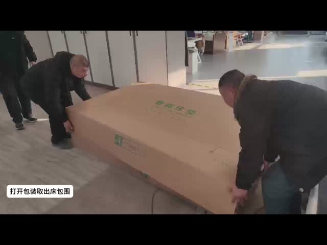 Electric Lift Bed Intelligent Bed Multifunctional Home Care Bed Automatic Removable Assisted Standing Backrest E200H