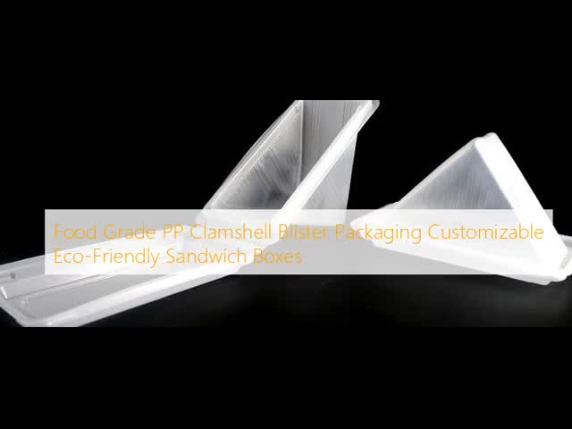 Food Grade PP Clamshell Sandwich Boxes Customizable Eco-Friendly Packaging
