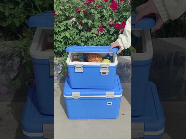 Phefon 12L ポータブル 海産物の保存箱
