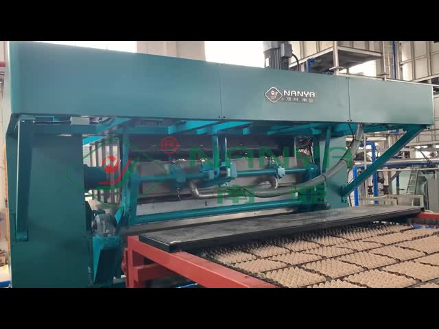 Raper Egg Carton 6000pcs/hour Rotary Molding Machine