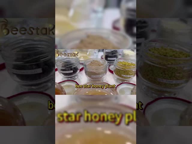 Equipo de apicultura de colmenas de abejas automático de flujo automático para apicultura El video