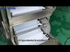 Z Type Bucket Conveyor for Grain Chemical and Building Material Industries