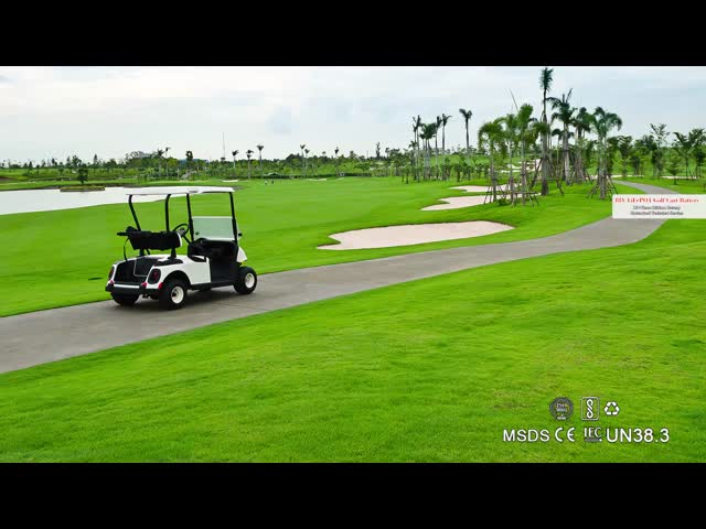4 Seat Long Cycle 48v 80ah 100ah 200ah Lifepo4 Lithium Battery For Golf Cart