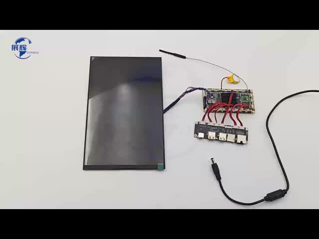 10.1 Inch HD TFT LCD Display 800x1280 High Resolution LVDS Interface LCD Module