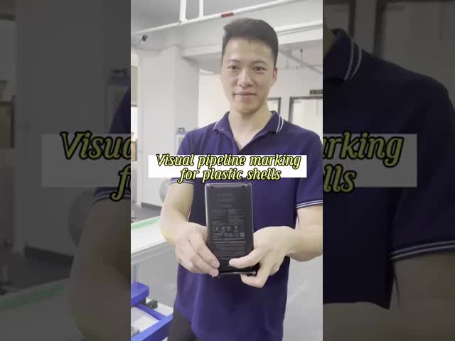 Máquina de marcado láser visual universal automática para metal plástico cerámico libre de contaminación El video