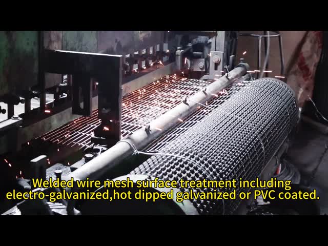 Holland Pvc Coated Welded Wire Fence Mesh Chicken Coop Welded Rabbit Cage