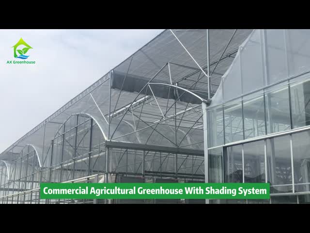 Multi-span sawtooth glass wall film roof agricultural greenhouse with external sunshade net video