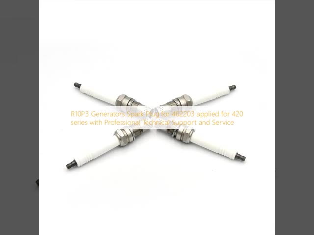 Customization TORCH High Quality Spark Plug R10P3 Applicable for P3 J412GS J416GS G420G Series Engines