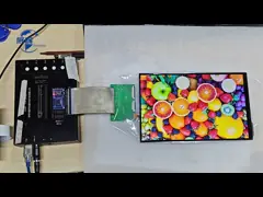 10.1 Inch TFT LCD Screen Display 800x1280 Resolution With MIPI Optional Touch