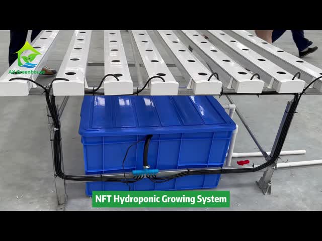 垂直農業 土のない栽培 水栽培 NFT 平方パイプシステム