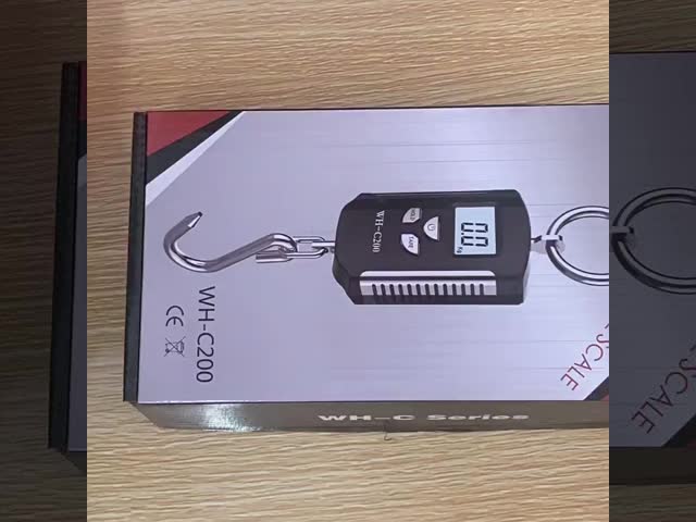 OEM Customizable 200kg Capacity Heavy Duty Stainless Steel Hanging Hook Scales Personal Digital Smart Weighing Scale