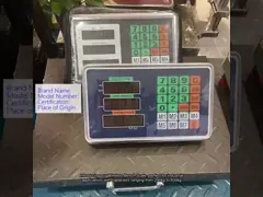 Industrial Scale Wireless 200kg to 600kg Bench Scale with LED/LCD Display and Floor Weighing Function