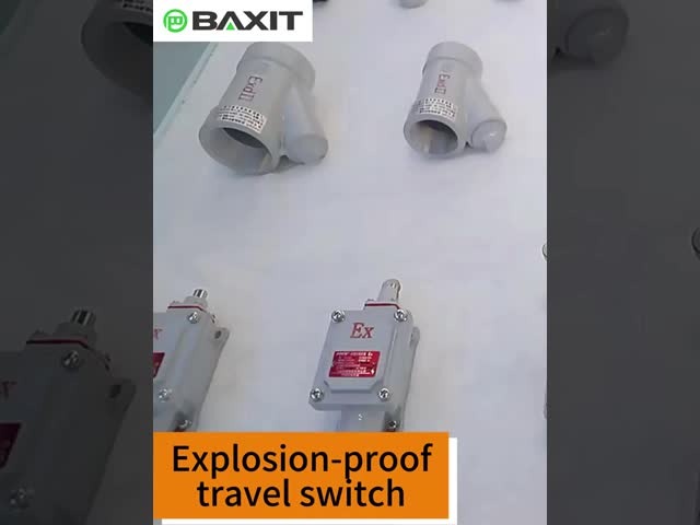 防爆リミットスイッチ BXT-LX5 シリーズ 1NO+1NC 5A