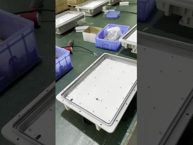 Durable Explosion Proof LED Light with 50000 Hours Lifespan IP65 Rated and 5500-6500K Color Temperature