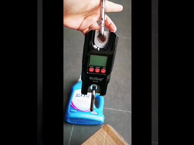 300 KG Industrial Hook Weighing Scale with LED Display 1G Accuracy ABS Material OEM Customizable Mini Digital Crane Scale