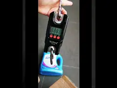 300 KG Industrial Hook Weighing Scale with LED Display 1G Accuracy ABS Material OEM Customizable Mini Digital Crane Scale