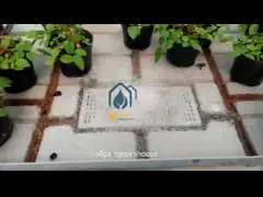 Commercial Ebb And Flow Rolling Benches Hydroponics Greenhouse Growing Trays