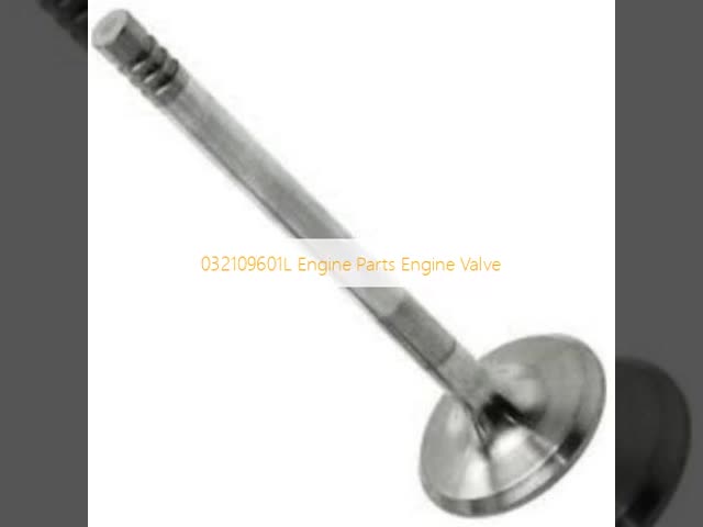 032109601L Engine Parts Engine Valve