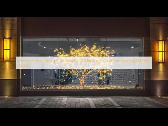 Advertising Transparent LED Film Screen Outdoor Hanging LED Film Display