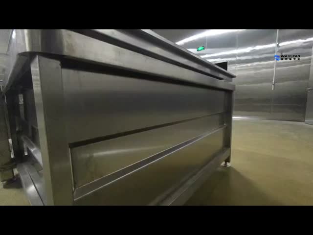 高い抽出率のにんじんの製造プラントの省エネの密集した構造