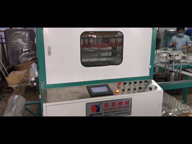 Small Automatic PP PVC PE Vacuum Thermoforming Machine 200~300 Pieces/H