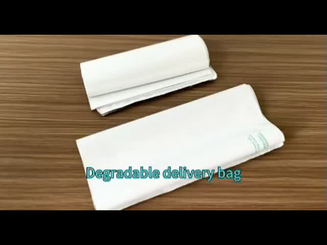Flexiloop Handle Compostable Mailing Bag with Custom Printing PLA and PBAT Material Structure