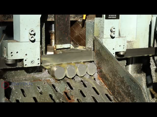 High Wear Resistant Twin Screw Extruder Screw Elements for Plastic Compounding