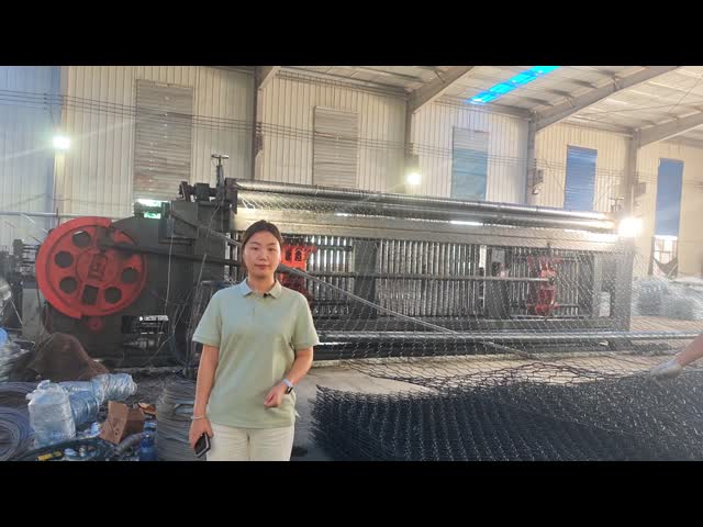 Hot Dipped Galvanized Gabion Box 2.0-4.0mm Wire Double Twist